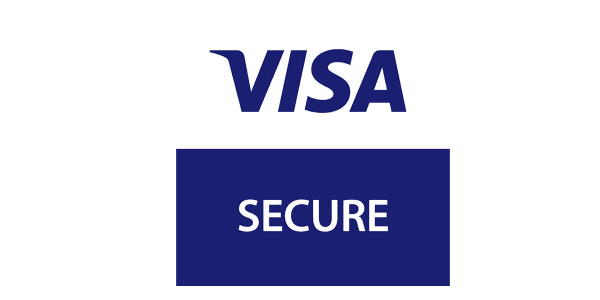 visa payment icon